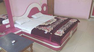 Hotel Green Park, Firozabad 3